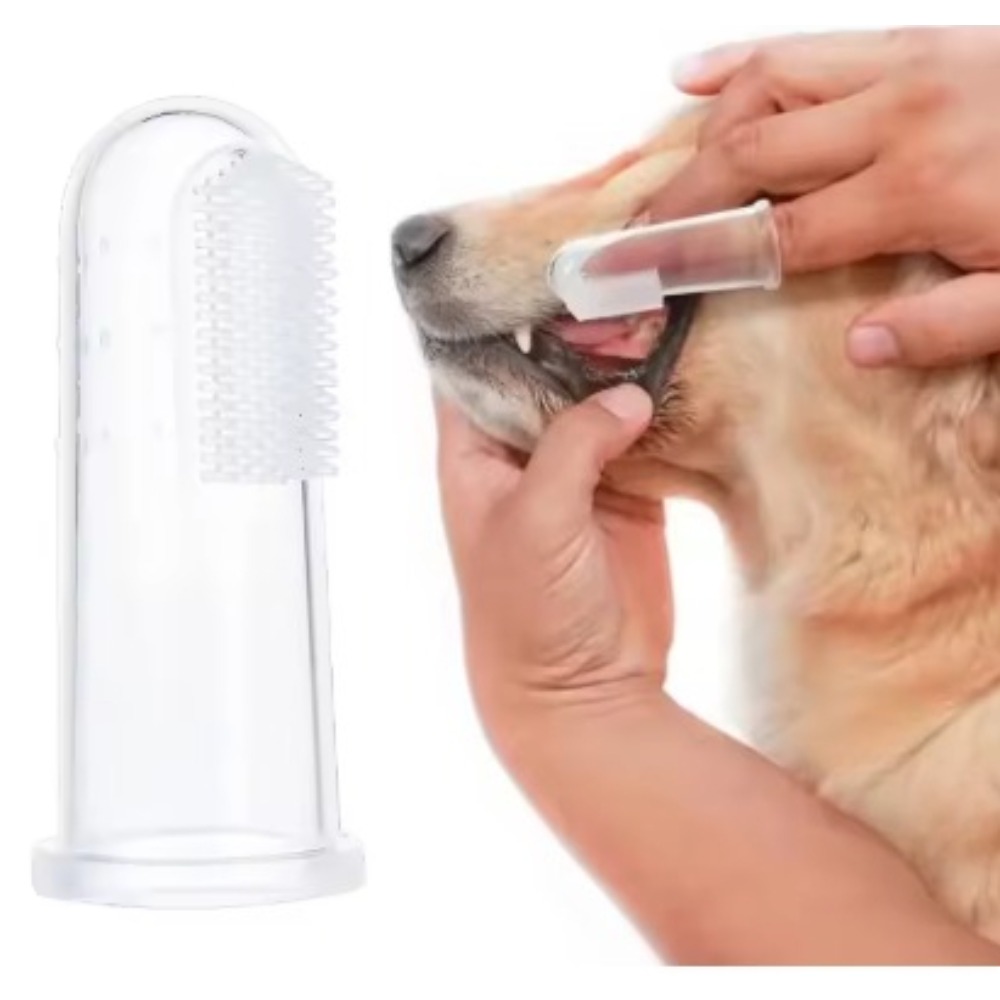 Brosse à dents pour animaux de - Tools & Workshop Equipment avis et prix
